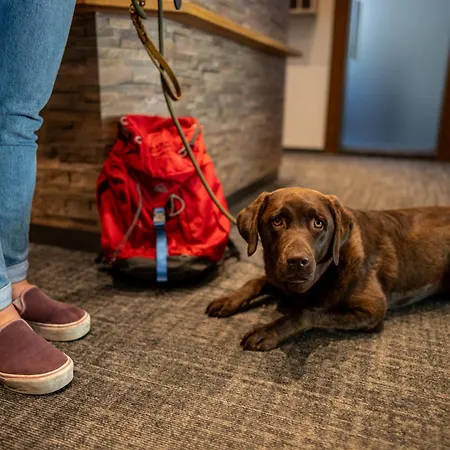 Schi- Und Wanderhotel Berghof Hotel 4*