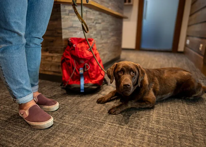 Schi- Und Wanderhotel Berghof Hotel 4*